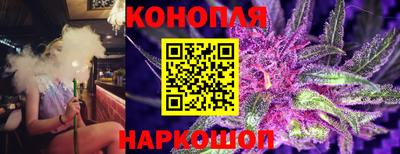 прущий лед Будённовск